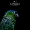 Natural Sample Makers, Natural Sound Makers & Nature Recordings - Bird Sounds For Sleep and Relaxation - EP